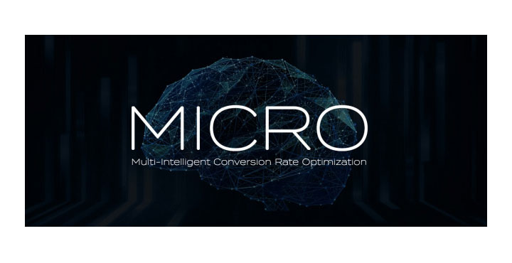 データアーティスト株式会社 MICRO