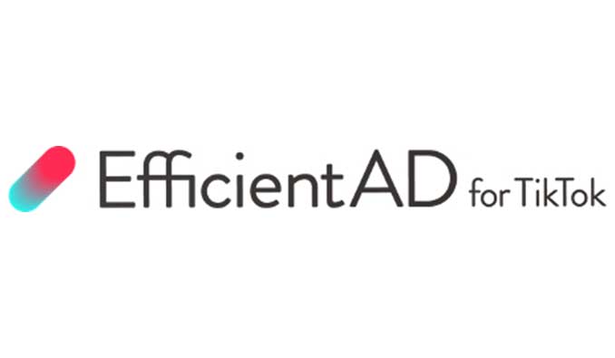 ヒトクセ、TikTokのマーケティング支援ツール『Efficient AD for TikTok』の提供開始