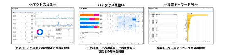 サイト全体の訪問者傾向を分析