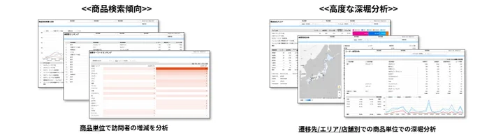 サイト全体の訪問者傾向を分析