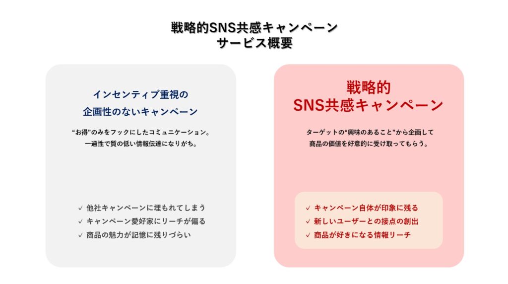 「戦略的SNS共感キャンペーン」とは？