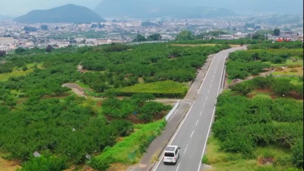 背景2：大企業との「資本の格差」に挑む。